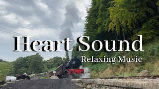 Travel with us and feel the beauty of nature.