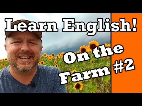 跟著加拿大人Bob學英文系列：到花田裡學英文吧！ (Learn English on the Flower Farm!  English Video with Subtitles)
