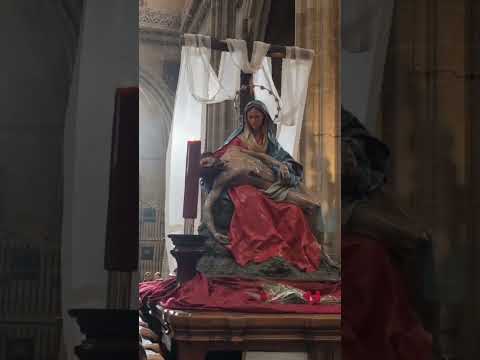 La Piedad en la Catedral de #salamanca #semanasanta #tradiciones #viernessanto