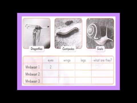 LISTENING: LISTEN AND COMPLETE THE TABLE