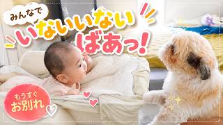 【孫と犬】一緒に過ごせる時間が後少し。みんなで一緒に遊んでみたら楽しすぎた。