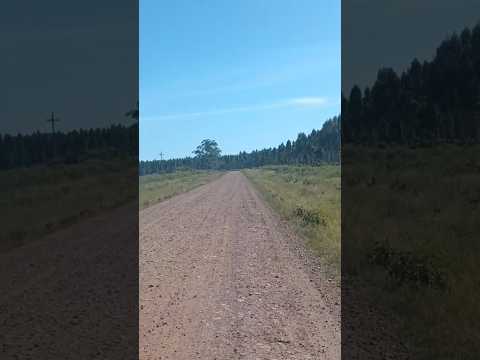 Ruta 20 vieja , cuchilla de Navarro , entre ruta 4 y pueblo Rolón , dpto. Río Negro 🇺🇾 . Videitos .