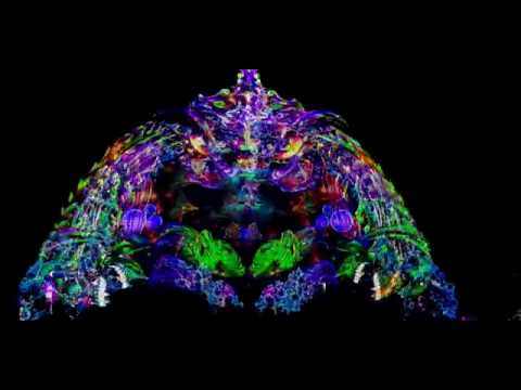 HIGH STAGE Festival #1 @ VJ Vacão