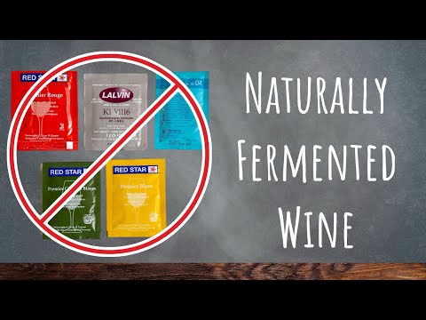 How To Make Wine Without Yeast [3 Methods]