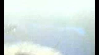 chimaira dehumanizing process