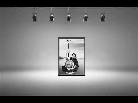 M. L. Vasanthakumari -  ninnu vinA mari  -   Abheri   -  Syama Sastry