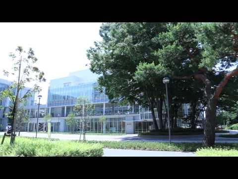 もっと知りたい！図書館