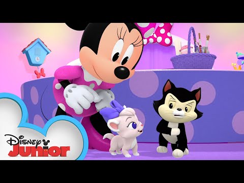 A New Kitty in the House | Minnie's Bow-Toons  🎀 | @disneyjunior
