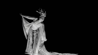 the go-go darkness - never again