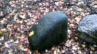 Синий камень в Брянском лесу фото