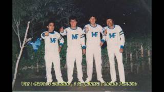 Los Magnificos de Carlos Palomino canción  