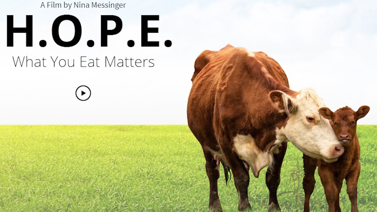 H.O.P.E: What You Eat Matters