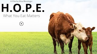 What You Eat Matters