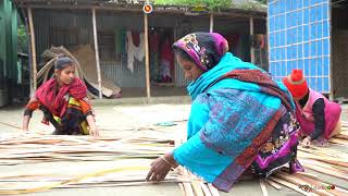 উপজেলার ডকুমেন্টারি