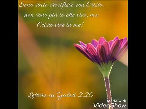 Gesù, apro la porta del mio cuore ❤️