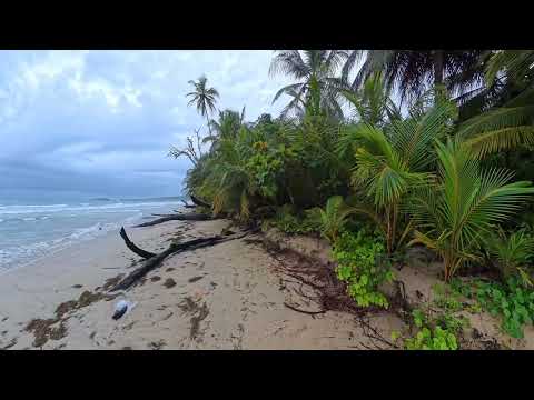Red Frog Beach Bocas Del Toro Panama