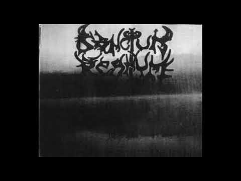 Sanctum Regnum - Suicide Depression [Full Album] 1994