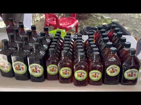 EMPRENDIMIENTO Y TRADICIÓN DEL CHOCÓ BRILLAN EN LA JOTATÓN DE TADÓ