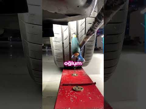 Lastik Patlasın Diye Her Şeyi Yaptım !😱