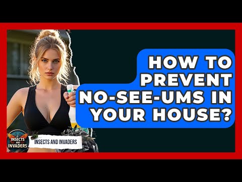 How To Prevent No-See-Ums In Your House? - Insects and Invaders