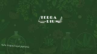 ميني تيراريوم الغابة