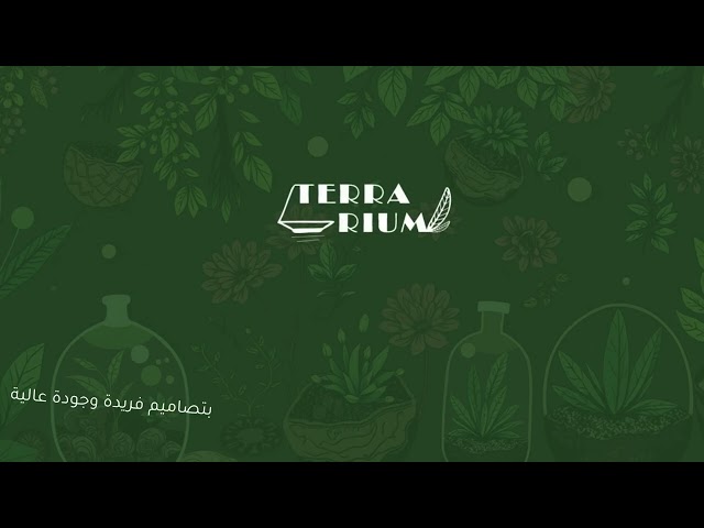 ميني تيراريوم الغابة