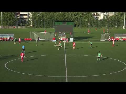 Crvena zvezda 2008. - Žarkovo 2008. 5:0 (1:0), 12.kolo lige mlađih pionira