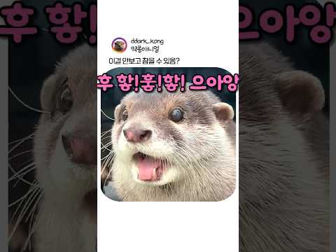 눈 마주쳤는데 참는다 vs 안참는다