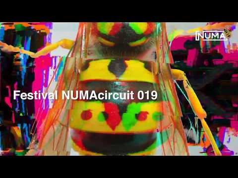 Numa Circuit vuelve al Auditorio de Tenerife en 2019