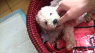 uma primer dia en mi familia