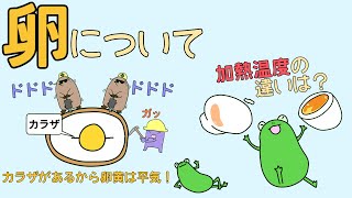 【管理栄養士²事情】食べ物と健康　卵について　【解説】