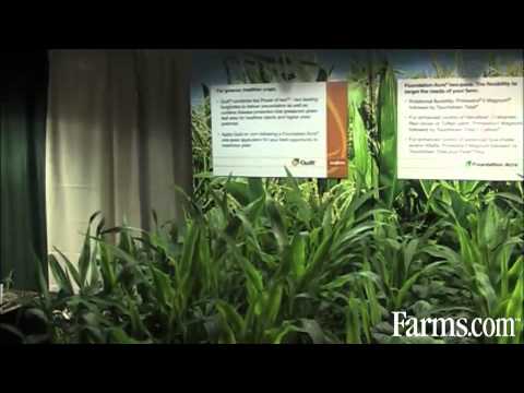 Weed Control Programs in Corn Demonstration by Syngenta Crop Protection