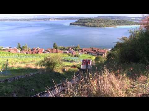 Ligerz - Prêles Funi