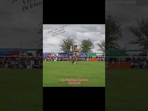 Juan Cruz Cordoba y el Coronel de Enzo Vega.(las perdices Cordoba)#jinetes #horse