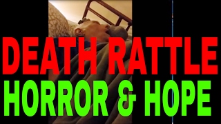 Death Rattle WARNING GRAPHIC CONTENT Horror and Hope