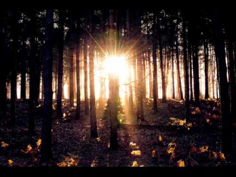 Amazing Eyes (Original Lyrics)