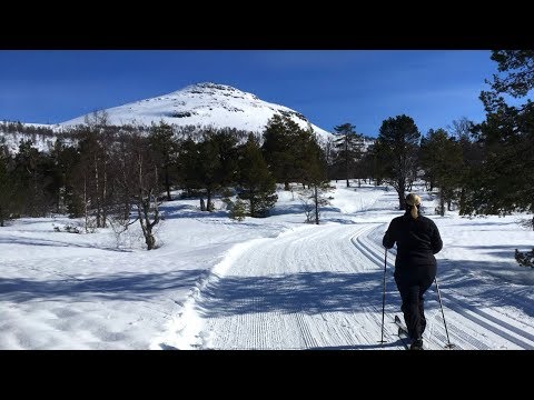 Haugsvarden || Gloppen Easter Vacation 2018 || Skiing Montage