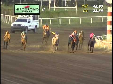 8VA CARRERA DEL DOMINGO 31 DE ENERO DE 2016