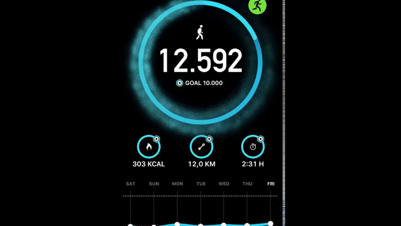 StepsApp Pedometer - Step Counter (App Store)