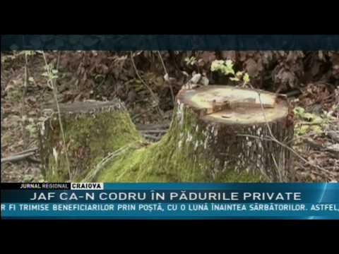 JAF CA-N CODRU ÎN PĂDURILE PRIVATE