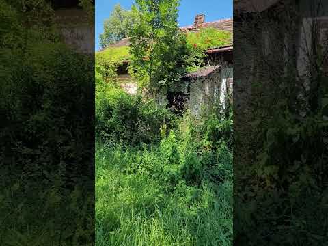 " Podróż sentymentalna "..Trepcza-dwór