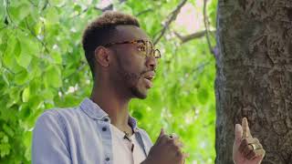 Sugar in Our Wounds – Unearthed