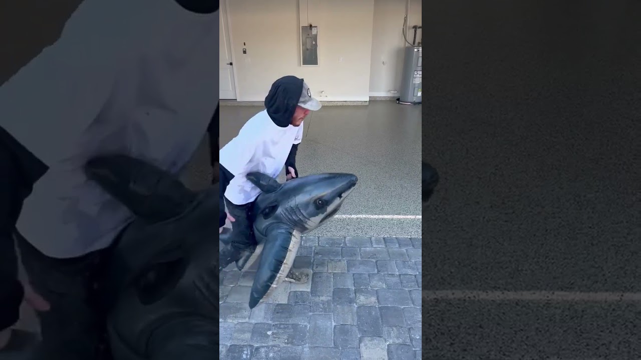 shark coatings land shark