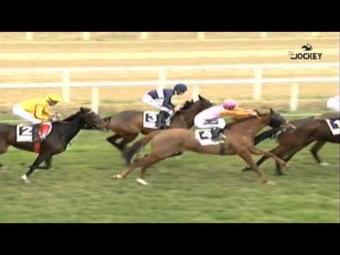 5 Carrera, premio Periódico El Nazareno, 10 de enero 2016 - Gran Hipódromo de Andalucía