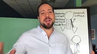 Best Shoulder Stretch Neck Stretch Exercise Pain Relief by Milton Chiropractor Dr Matthew Posa