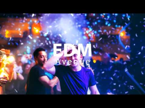 PUT 'EM UP VS. GASOLINA (Hardwell UMF 2017 Mashup) (Extended)