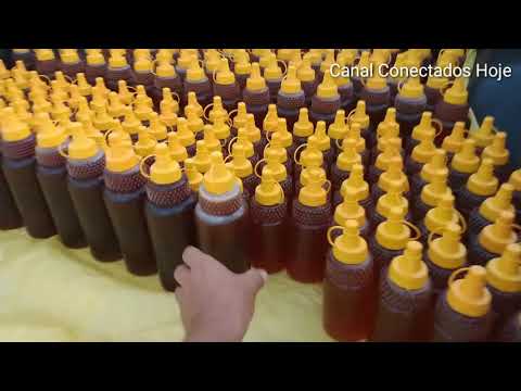 Beneficiamento do mel de abelhas apis  | Canal Conectados Hoje