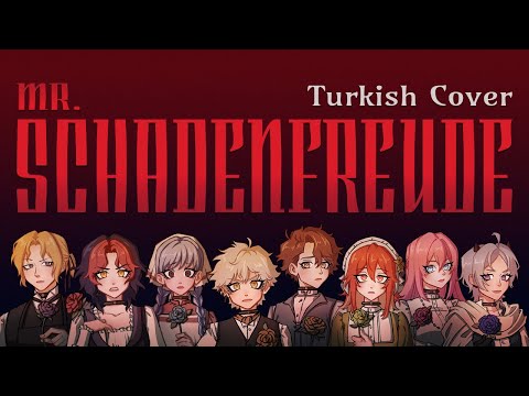 Mr. Schadenfreude (Turkish Cover)