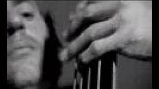 brendan adams trio "butterfly cronicles"