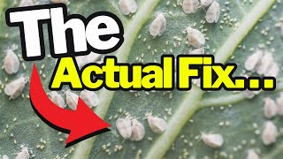 The #1 Way to Keep Garden Pests From Coming Back—Forever
